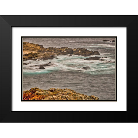 Point Lobos-Carmel-California Black Modern Wood Framed Art Print with Double Matting by Ford, John