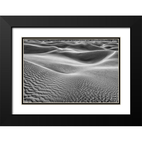 Mesquite Dunes-Death Valley National Park-California Black Modern Wood Framed Art Print with Double Matting by Ford, John