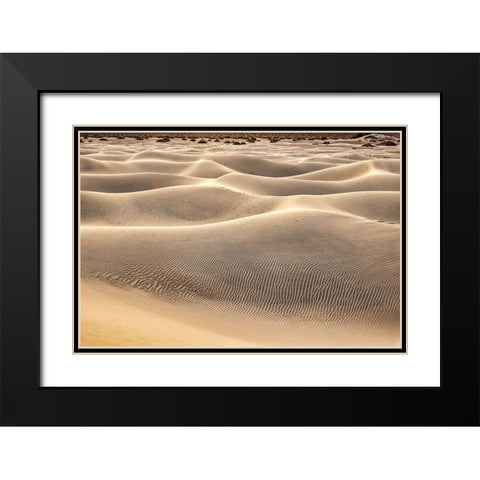 Mesquite Dunes-Death Valley National Park-California Black Modern Wood Framed Art Print with Double Matting by Ford, John