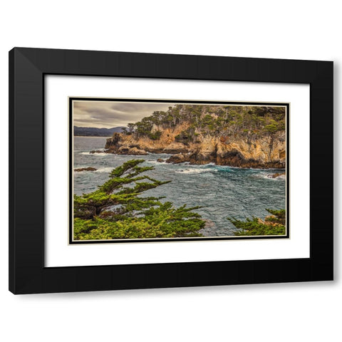 Point Lobos-Carmel-California Black Modern Wood Framed Art Print with Double Matting by Ford, John