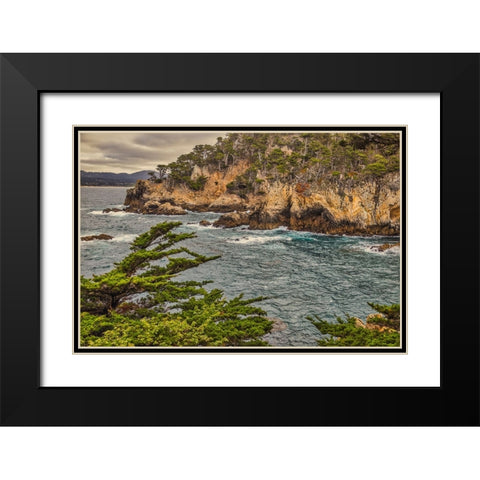 Point Lobos-Carmel-California Black Modern Wood Framed Art Print with Double Matting by Ford, John