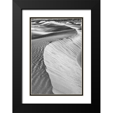 Mesquite Dunes-Death Valley National Park-California Black Modern Wood Framed Art Print with Double Matting by Ford, John