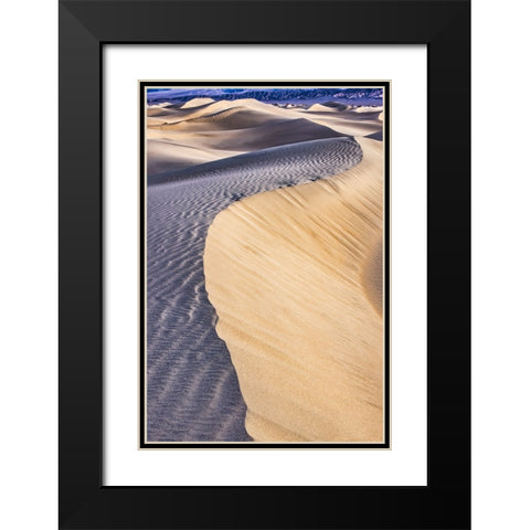 Mesquite Dunes-Death Valley National Park-California Black Modern Wood Framed Art Print with Double Matting by Ford, John