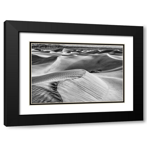 Mesquite Dunes-Death Valley National Park-California Black Modern Wood Framed Art Print with Double Matting by Ford, John