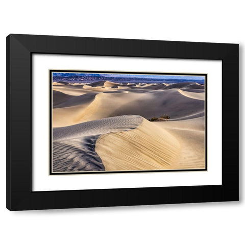 Mesquite Dunes-Death Valley National Park-California Black Modern Wood Framed Art Print with Double Matting by Ford, John