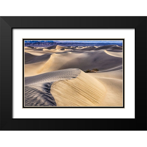 Mesquite Dunes-Death Valley National Park-California Black Modern Wood Framed Art Print with Double Matting by Ford, John