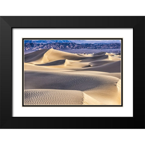Mesquite Dunes-Death Valley National Park-California Black Modern Wood Framed Art Print with Double Matting by Ford, John