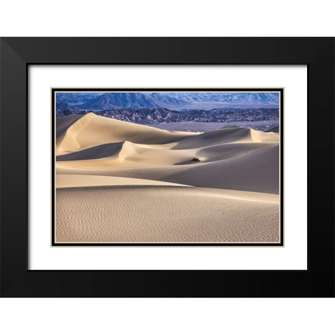 Mesquite Dunes-Death Valley National Park-California Black Modern Wood Framed Art Print with Double Matting by Ford, John