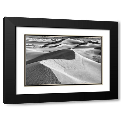 Mesquite Dunes-Death Valley National Park-California Black Modern Wood Framed Art Print with Double Matting by Ford, John