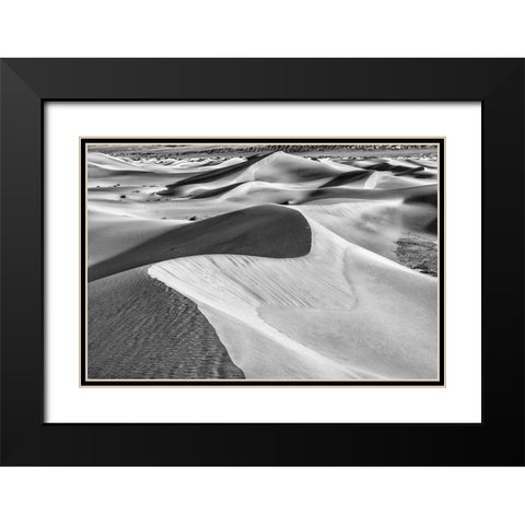 Mesquite Dunes-Death Valley National Park-California Black Modern Wood Framed Art Print with Double Matting by Ford, John