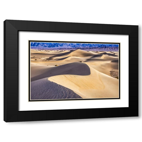 Mesquite Dunes-Death Valley National Park-California Black Modern Wood Framed Art Print with Double Matting by Ford, John
