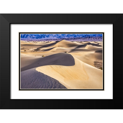 Mesquite Dunes-Death Valley National Park-California Black Modern Wood Framed Art Print with Double Matting by Ford, John