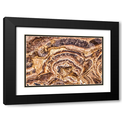 Marble Abstract-Titus Canyon-Death Valley Black Modern Wood Framed Art Print with Double Matting by Ford, John