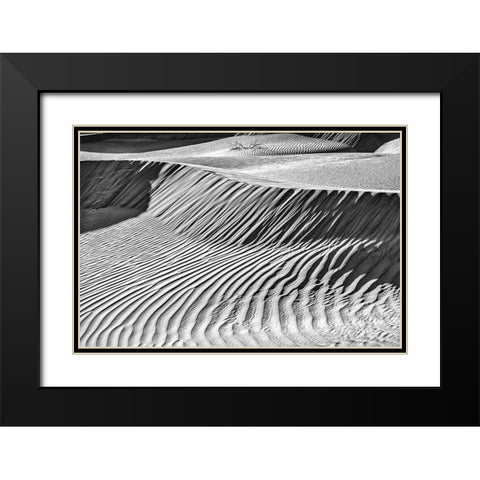 Mesquite Dunes-Death Valley National Park-California Black Modern Wood Framed Art Print with Double Matting by Ford, John