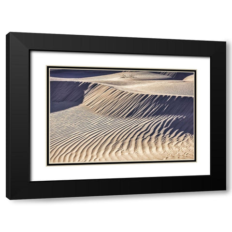 Mesquite Dunes-Death Valley National Park-California Black Modern Wood Framed Art Print with Double Matting by Ford, John