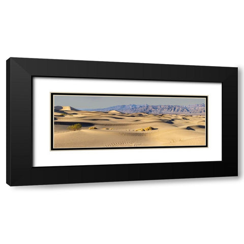 Mesquite Dunes-Death Valley National Park-California Black Modern Wood Framed Art Print with Double Matting by Ford, John