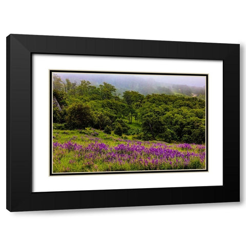 USA-California-Crescent City-Redwoods National Park-Bold Hills Black Modern Wood Framed Art Print with Double Matting by Restuccia, Joe III