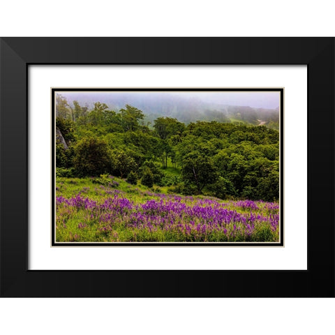 USA-California-Crescent City-Redwoods National Park-Bold Hills Black Modern Wood Framed Art Print with Double Matting by Restuccia, Joe III