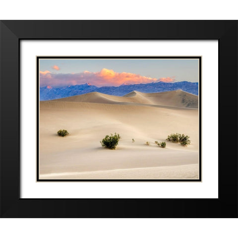 California Death Valley National Park-Mesquite Flat Sand Dunes Black Modern Wood Framed Art Print with Double Matting by Wild, Jamie and Judy