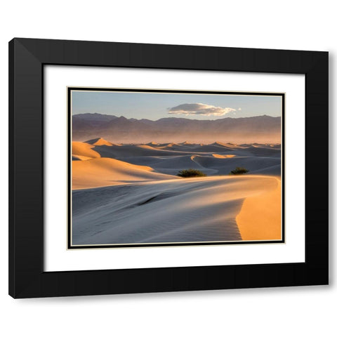 California Death Valley National Park-Mesquite Flat Sand Dunes Black Modern Wood Framed Art Print with Double Matting by Wild, Jamie and Judy