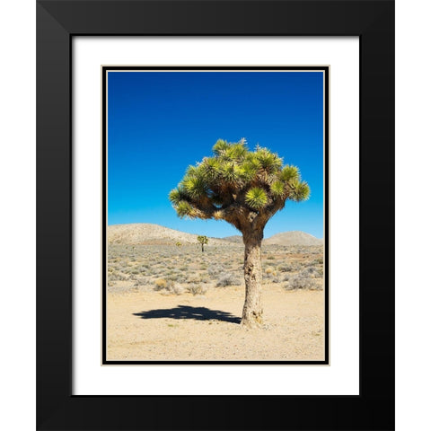 California Joshua Trees Black Modern Wood Framed Art Print with Double Matting by Wild, Jamie and Judy