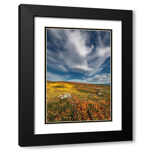California Fields of California Poppy-Goldfields with clouds-Antelope Valley Black Modern Wood Framed Art Print with Double Matting by Zimmerman, Judith