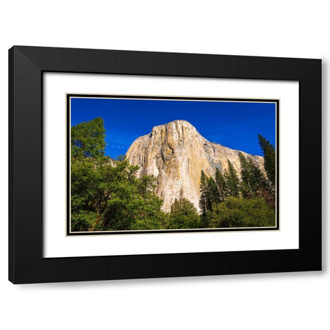 El Capitan-Yosemite Valley-Yosemite National Park-California-USA Black Modern Wood Framed Art Print with Double Matting by Bishop, Russ