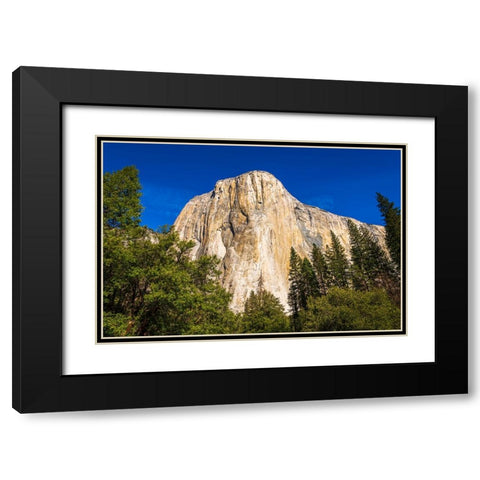 El Capitan-Yosemite Valley-Yosemite National Park-California-USA Black Modern Wood Framed Art Print with Double Matting by Bishop, Russ