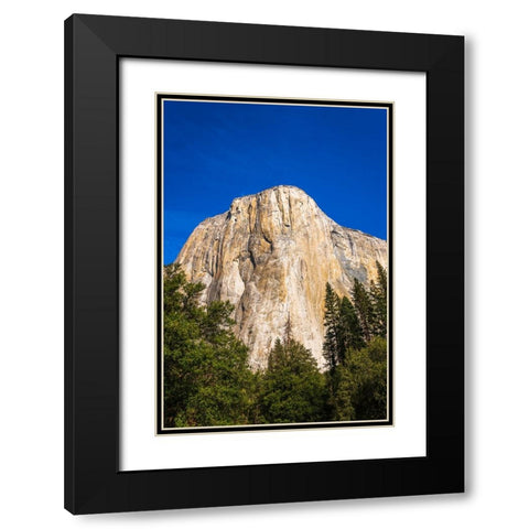 El Capitan-Yosemite Valley-Yosemite National Park-California-USA Black Modern Wood Framed Art Print with Double Matting by Bishop, Russ