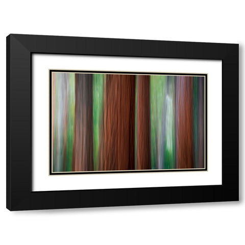 Forest abstract-Yosemite National Park-California-USA Black Modern Wood Framed Art Print with Double Matting by Bishop, Russ