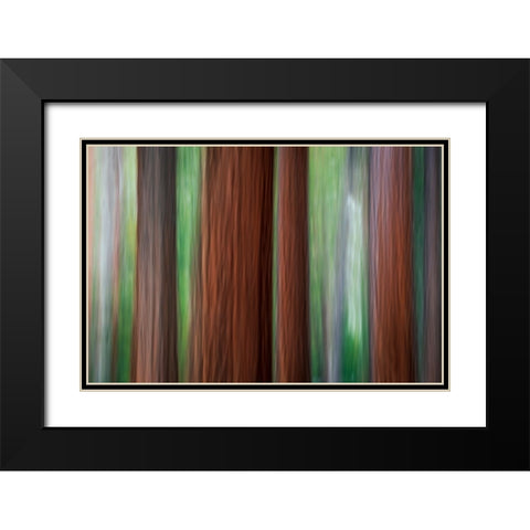 Forest abstract-Yosemite National Park-California-USA Black Modern Wood Framed Art Print with Double Matting by Bishop, Russ