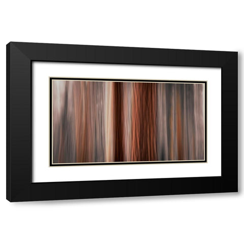 Forest abstract-Yosemite National Park-California-USA Black Modern Wood Framed Art Print with Double Matting by Bishop, Russ