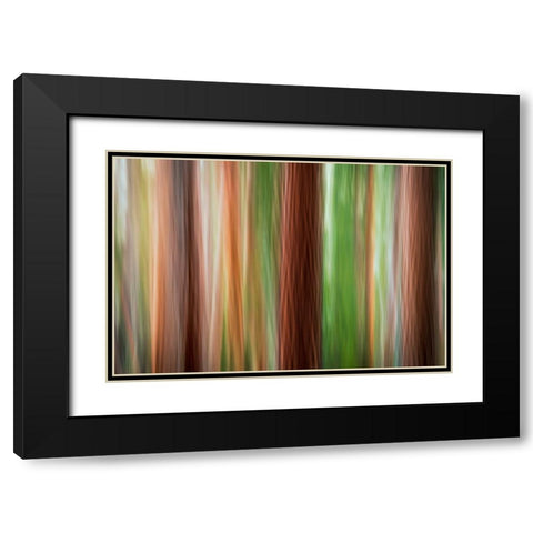 Forest abstract-Yosemite National Park-California-USA Black Modern Wood Framed Art Print with Double Matting by Bishop, Russ