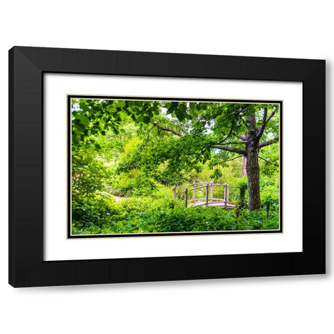 A wooden bridge crossing a small creek alongside a dirt path in a very green-lush forest setting Black Modern Wood Framed Art Print with Double Matting by Haddad, Sheila