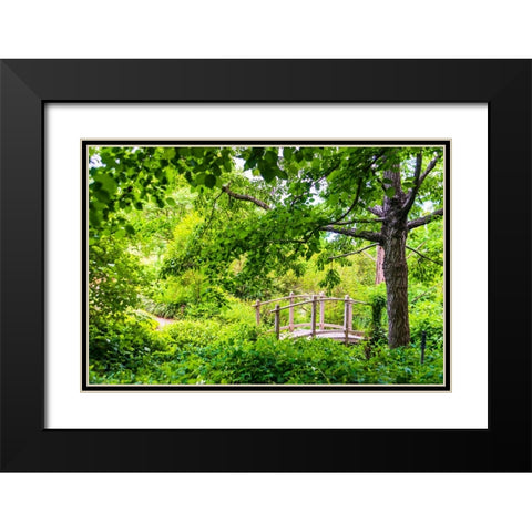 A wooden bridge crossing a small creek alongside a dirt path in a very green-lush forest setting Black Modern Wood Framed Art Print with Double Matting by Haddad, Sheila