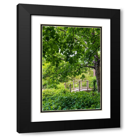 A wooden bridge crossing a small creek alongside a dirt path in a very green-lush forest setting Black Modern Wood Framed Art Print with Double Matting by Haddad, Sheila