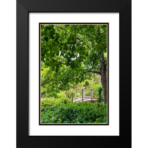 A wooden bridge crossing a small creek alongside a dirt path in a very green-lush forest setting Black Modern Wood Framed Art Print with Double Matting by Haddad, Sheila