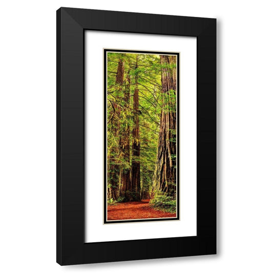 Perspective Image