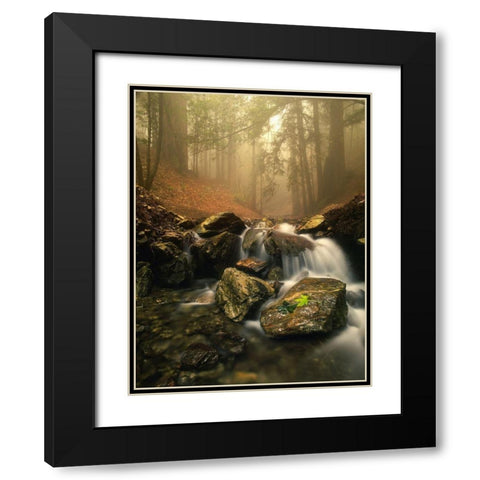 A stream meanders through a fog filled valley on coastal California near Big Sur Black Modern Wood Framed Art Print with Double Matting by SMO