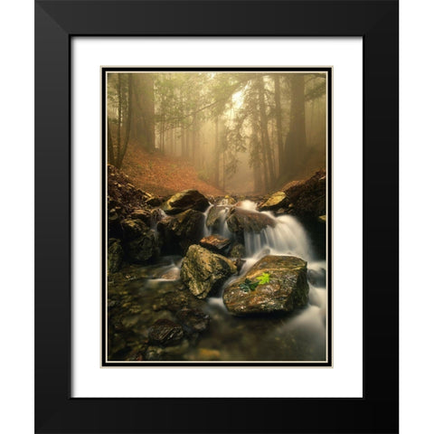 A stream meanders through a fog filled valley on coastal California near Big Sur Black Modern Wood Framed Art Print with Double Matting by SMO