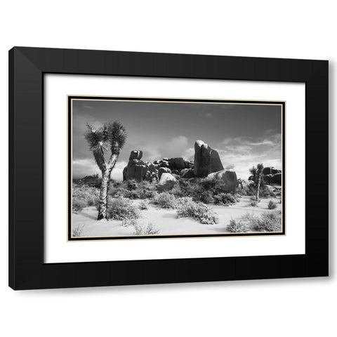 Winter storm-Joshua Tree National Park-California Black Modern Wood Framed Art Print with Double Matting by Muench, Zandria