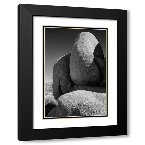 Granite Tree National Park- California Black Modern Wood Framed Art Print with Double Matting by Muench, Zandria