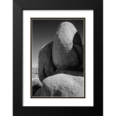 Granite Tree National Park- California Black Modern Wood Framed Art Print with Double Matting by Muench, Zandria