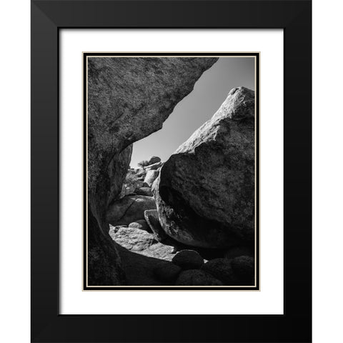 Granite Tree National Park- California Black Modern Wood Framed Art Print with Double Matting by Muench, Zandria