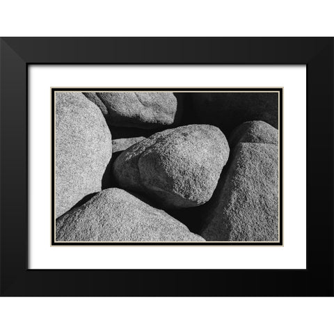 Granite Tree National Park- California Black Modern Wood Framed Art Print with Double Matting by Muench, Zandria