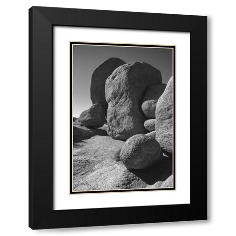 Granite Tree National Park- California Black Modern Wood Framed Art Print with Double Matting by Muench, Zandria