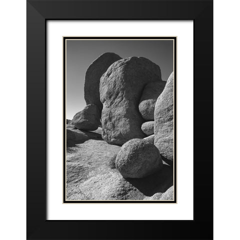 Granite Tree National Park- California Black Modern Wood Framed Art Print with Double Matting by Muench, Zandria