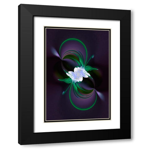 Columbine flower-Colorado Black Modern Wood Framed Art Print with Double Matting by Jones, Adam
