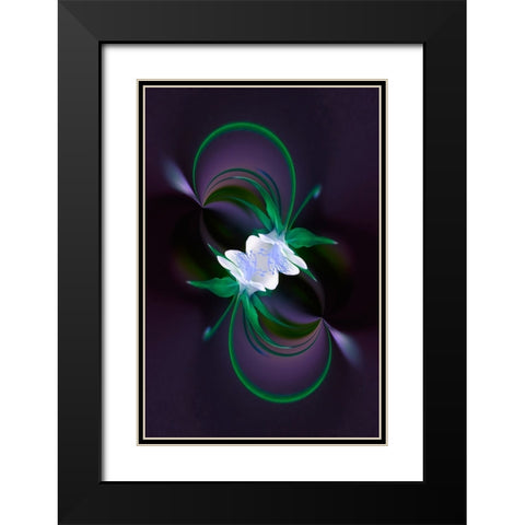 Columbine flower-Colorado Black Modern Wood Framed Art Print with Double Matting by Jones, Adam