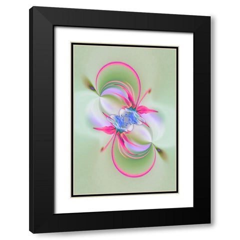 Columbine flower-Colorado Black Modern Wood Framed Art Print with Double Matting by Jones, Adam